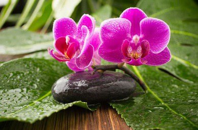 有一种期待叫做南京丝袜上门服务